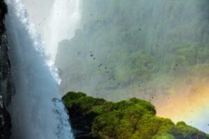 Cataratas do Iguaçu ganha Travellers’ Choice 