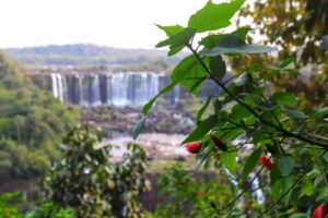 Aniversário de Lindoeste e Santa Tereza do Oeste no parque nacional