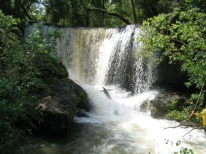 Imagem do Polo Rio Azul, em Céu Azul. Crédito: Parque Nacional do Iguaçu / ICMBio