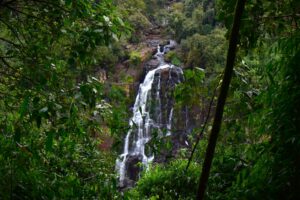 parque nacional do iguaçu no inverno