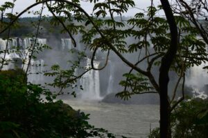 curta o inverno no parque nacional do iguaçu