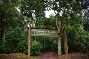 trilhas e caminhos no parque