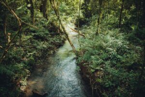 Caminho do Poço Preto