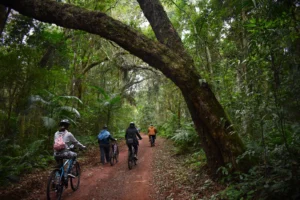 Bike Poço Preto