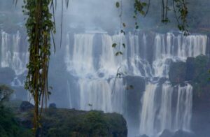 visitação de agosto