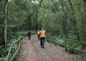 Caminho do Poço Preto