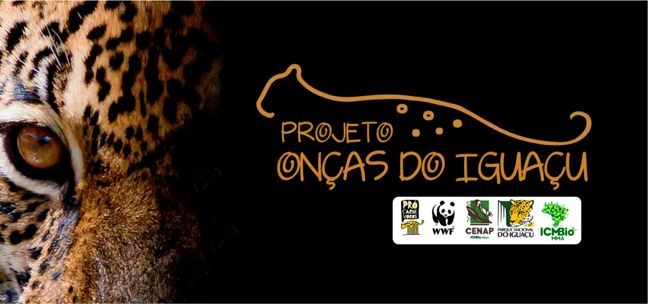 projeto-onca